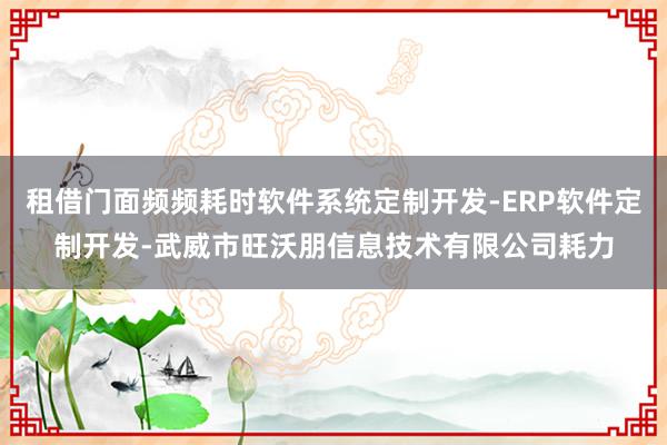 租借门面频频耗时软件系统定制开发-ERP软件定制开发-武威市旺沃朋信息技术有限公司耗力