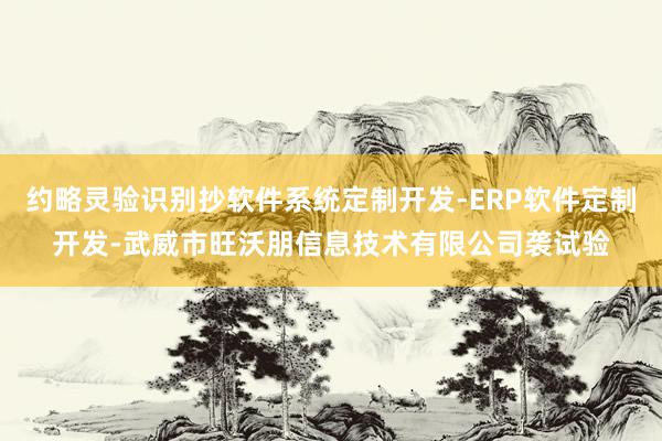 约略灵验识别抄软件系统定制开发-ERP软件定制开发-武威市旺沃朋信息技术有限公司袭试验