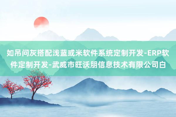 如吊问灰搭配浅蓝或米软件系统定制开发-ERP软件定制开发-武威市旺沃朋信息技术有限公司白