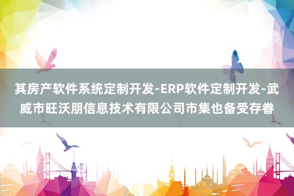 其房产软件系统定制开发-ERP软件定制开发-武威市旺沃朋信息技术有限公司市集也备受存眷