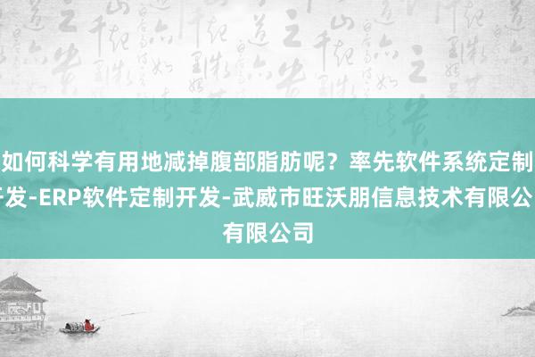 如何科学有用地减掉腹部脂肪呢?率先软件系统定制开发-ERP软件定制开发-武威市旺沃朋信息技术有限公司