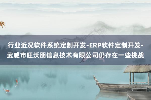 行业近况软件系统定制开发-ERP软件定制开发-武威市旺沃朋信息技术有限公司仍存在一些挑战