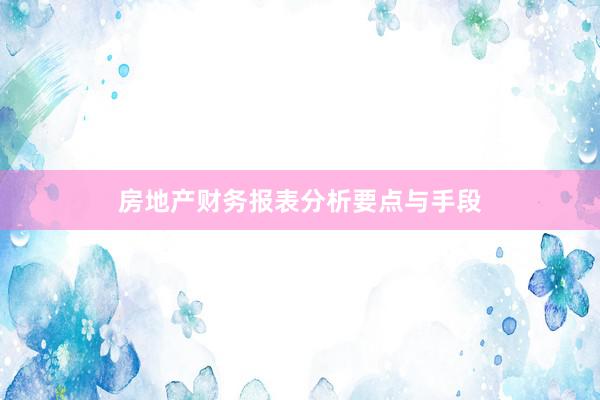 房地产财务报表分析要点与手段